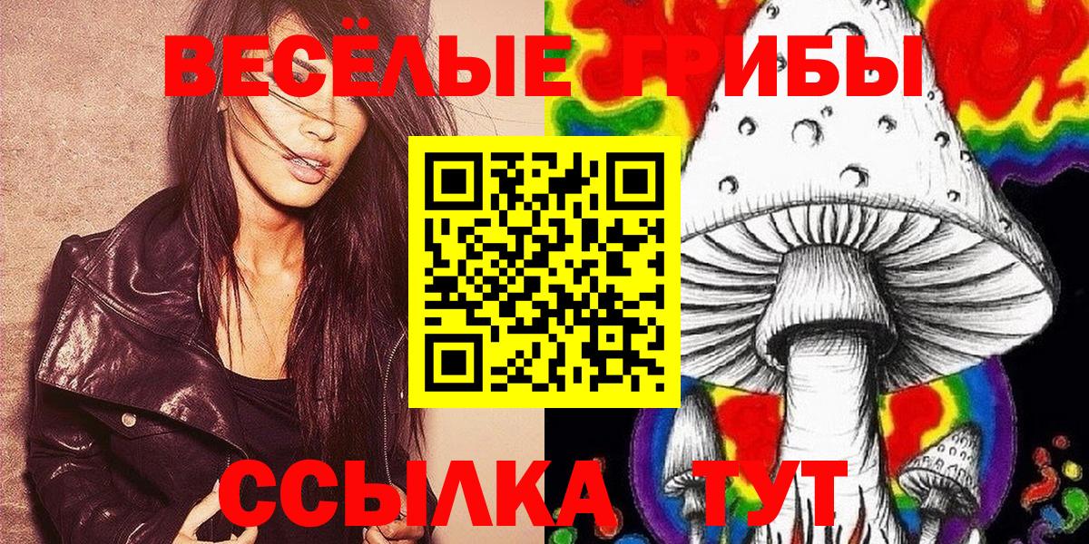 Псилоцибиновые грибы MAGIC MUSHROOMS  Вход с VPN  Псилоцибиновые грибы ЛСД  Орехово-Зуево 